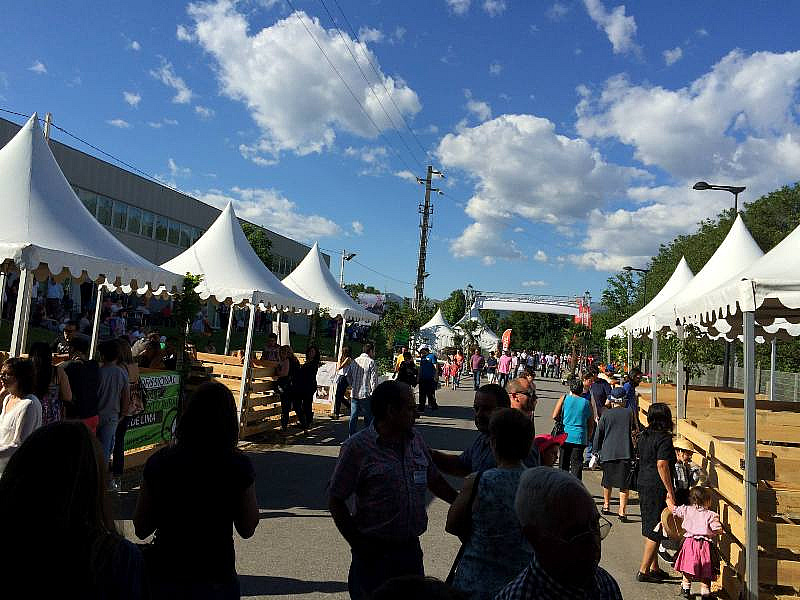 EXPOVEZ 2015 | Ambiente
