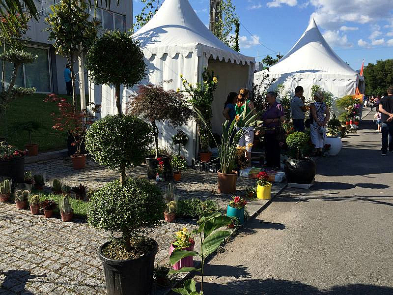 EXPOVEZ 2015 | Ambiente