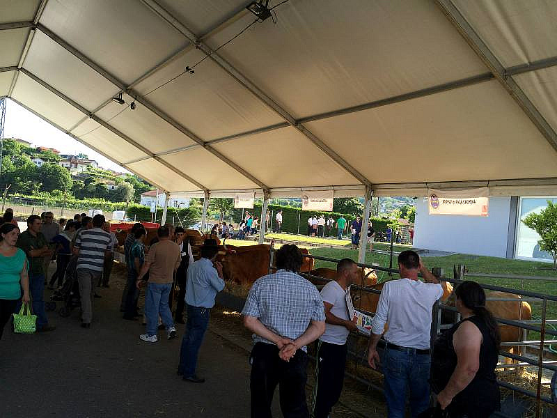 EXPOVEZ 2015 | Ambiente